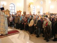 Введение во Храм Пресвятой Богородицы