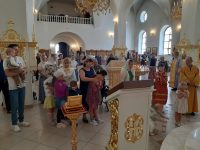 Неделя 7-я по Пятидесятнице, память преподобного Сисоя Великого